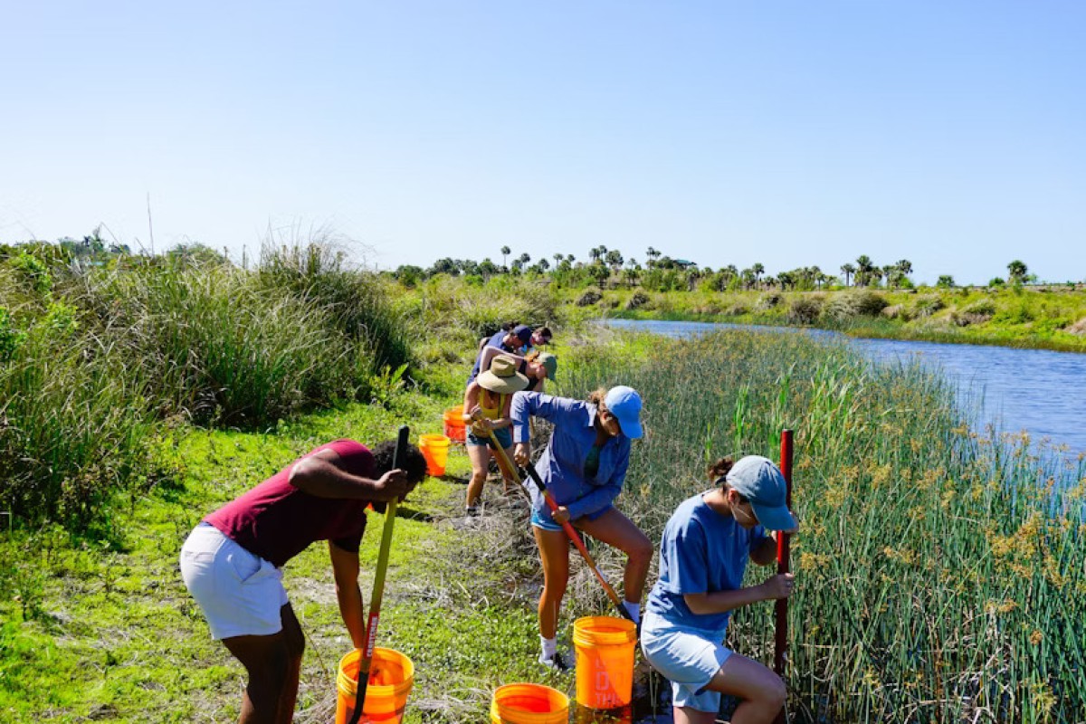 Volunteer Spotlight